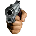 BullyGun1