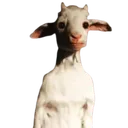 MA_TheGoat