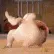 MA_Twerky