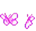 butterflypink