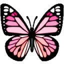 RainbowButterfly