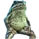 FrogVibing