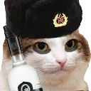 CommunistCat