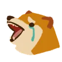 dogecry3