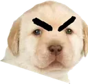 eveaggro eveaggro