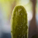 CoolPickel CoolPickel