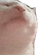 catdance300bpm catdance300bpm