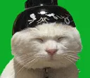 luckyhatcat Discord Emoji