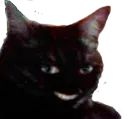 yes