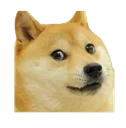 doge Discord Emoji