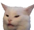 wutcat
