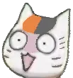 3751_surprised_nyanko