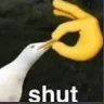 shut