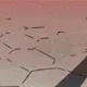 RyukoRage3