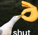 shut
