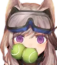 cardiCatch