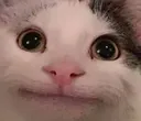 nothx