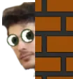 AdaPeek