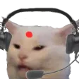 2708_indian_IT_cat