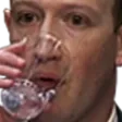 zucc2 zucc2