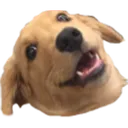 Wowee