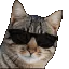 emoji_15 emoji_15