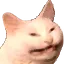 Cat Smile cat_smile Discord Emoji