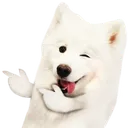 tdogGuns