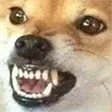 dviperRage2