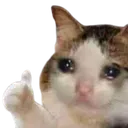 sadcatthumbsup sadcatthumbsup