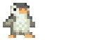 penguino