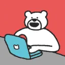 bearslaptop