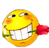 alirose alirose