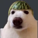 watermeloonwoof