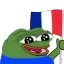FrPepeFlag