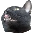 daziaLily2
