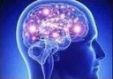 bigbrain