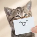 CATSMILEY Discord Emoji