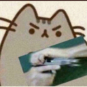 catgunangy