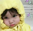 Yellow_24VDL