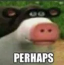perhaps perhaps