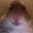 bruhka_mitai