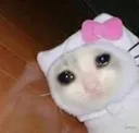 gucci_cry