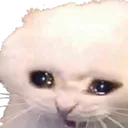 CRY
