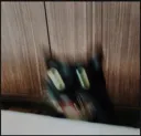 REEE