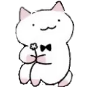 kyuuchan_flower