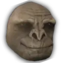 Craig_Happy