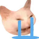 catesob