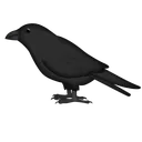 crowfriend
