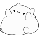 KRBongoFatCat